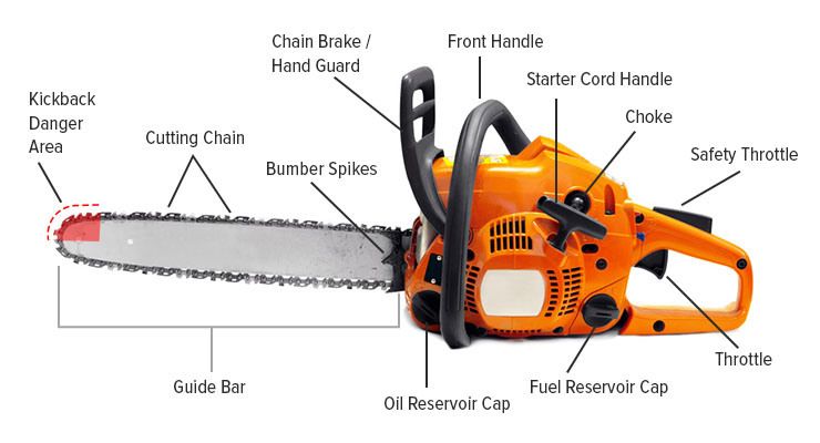 Chainsaw Parts Guide